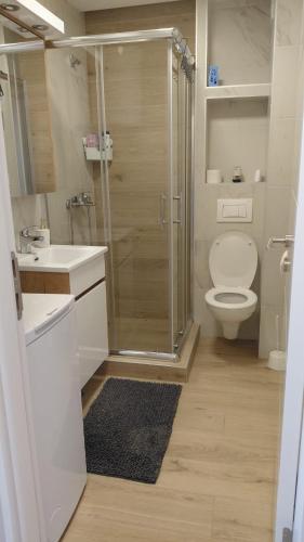 a bathroom with a shower and a toilet and a sink at Cozy Studio-Self check in in Beograd