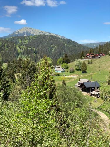 a view of a valley with a mountain in the background at Котедж Славний гуцул & СПА чани джакузі in Yablunytsya