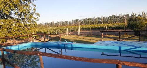 a swimming pool in the middle of a vineyard at FiNCA DACA in Junín