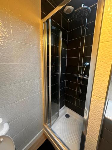 a shower with a glass door in a bathroom at Palma Verde - centre ville - wifi in Niort
