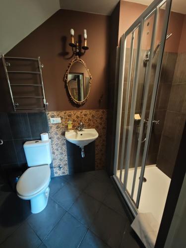 a bathroom with a toilet and a sink and a mirror at Akmenių Dvaras in Akmeniai