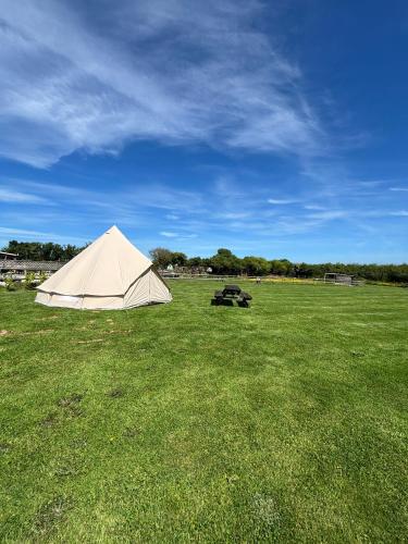 a large white tent in a field of grass at Cornwalls Glamping Tent in Delabole