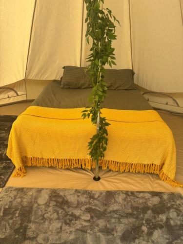 a bed with a yellow blanket and a plant on it at Cornwalls Glamping Tent in Delabole