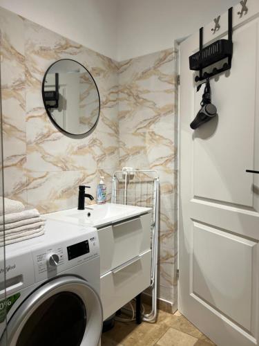 a bathroom with a washing machine and a mirror at Studio Factory 22 in Braşov