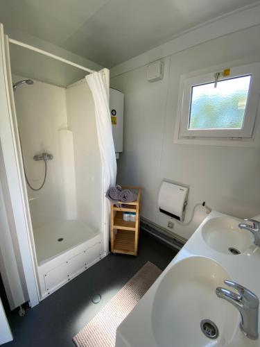 a small bathroom with a sink and a shower at Naturerlebnis-Schlafcontainer in Leutershausen