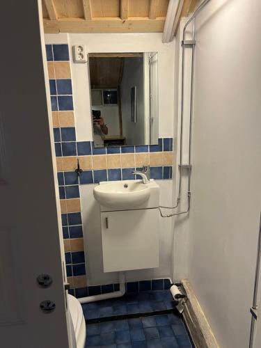a bathroom with a sink and a mirror at Landskaptsutsikt in Stallarholmen