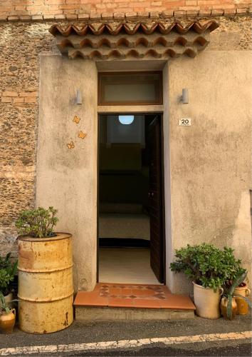 an open door of a building with two potted plants at B&B Verde Pastello in Pianopoli
