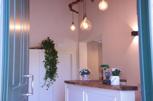 a kitchen with a counter with flowers and lights at Agriturismo Ca' Brusca in Due Maestà