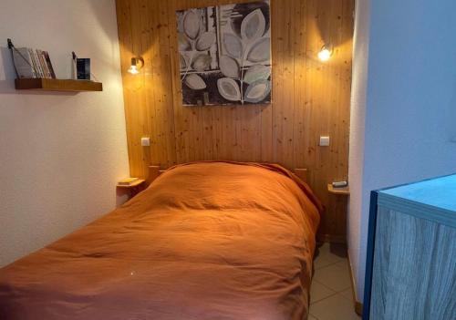 Appartement pied des pistes