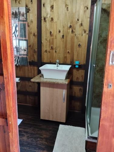 a bathroom with a sink and a shower at Buffalo Street Cottages in Malelane