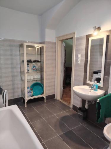 a bathroom with a sink and a mirror at Retró Kúria in Fonyód