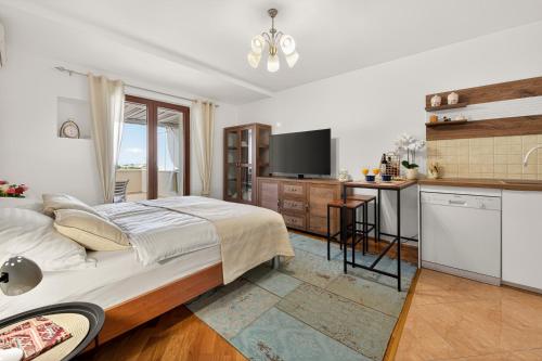 Studio apartman Stane