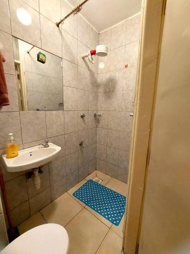 a bathroom with a shower with a toilet and a sink at Reinastays in Kiambu