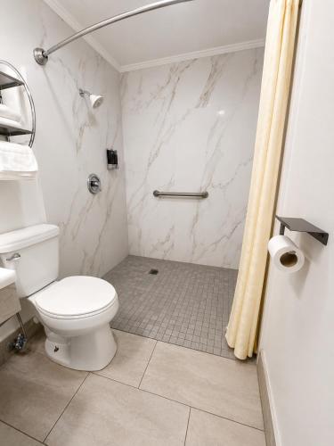 a white bathroom with a toilet and a shower at Buffalo Inn Vintage MOTEL in Canyon
