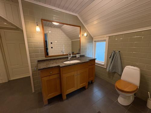 a bathroom with a sink and a toilet and a mirror at Tornvillan in Mariehamn