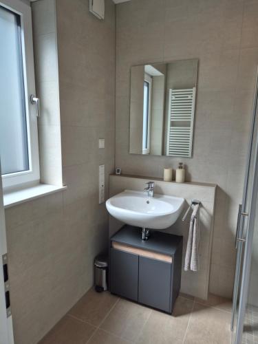 a bathroom with a sink and a mirror at Studio in Wincheringen in Wincheringen