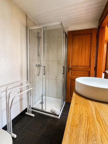 a bathroom with a shower and a sink and a tub at Maison Kieffer - Hotel & Vins d'Alsace in Itterswiller