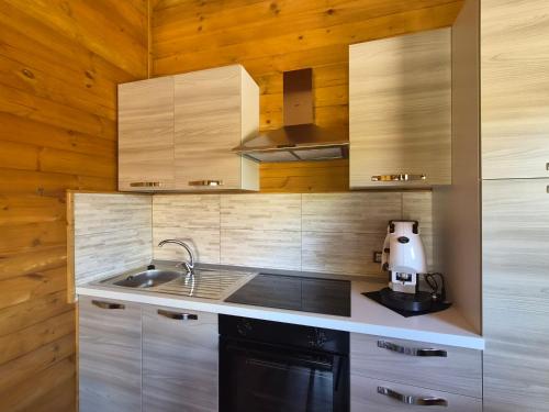 a kitchen with a sink and wooden walls at La Baita Del Bosco in Albano di Lucania