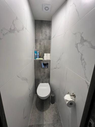 a bathroom with a toilet and a toilet paper dispenser at Deividas apart in Vilnius