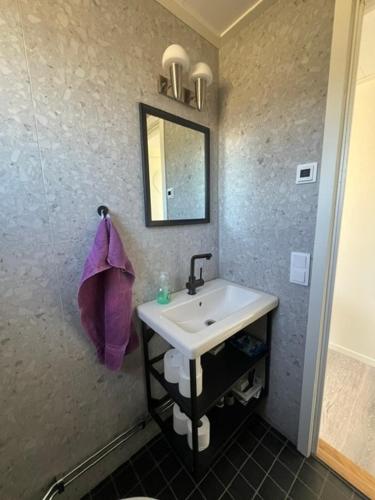 a bathroom with a sink and a mirror at Tiny house with lake view in Hammarö