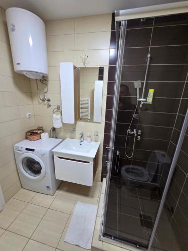 a bathroom with a shower and a washing machine at Apartman Jezdić in Banja Koviljača