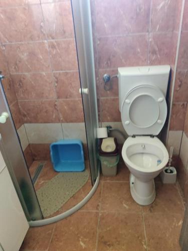 a small bathroom with a toilet and a shower at Vrelo Bosne 10 in Vrelo Bosne