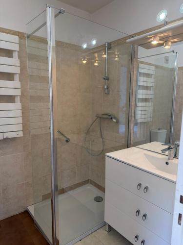 a bathroom with a shower and a sink at Appartement sagone in Coggia