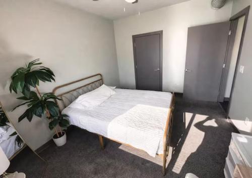 a bedroom with a bed and a potted plant at Evergreen Nook in Des Moines