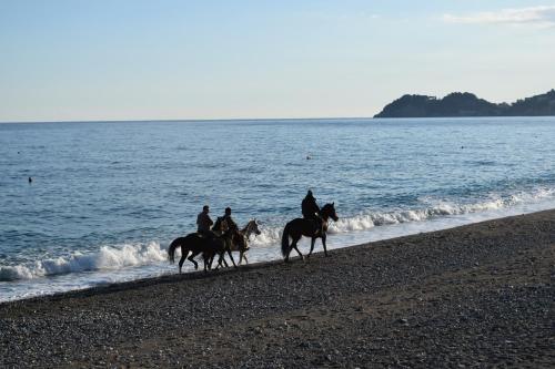 Φυσικό τοπίο κοντά σε αυτή η παραθεριστική κατοικία