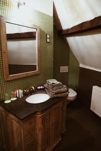 a bathroom with a sink and a mirror and a toilet at B&B De Mout in Diest