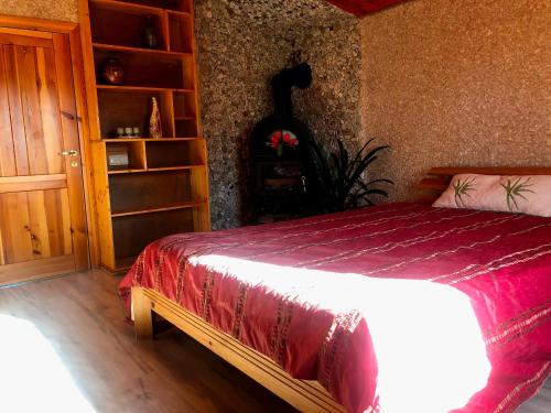 a bedroom with a bed and a book shelf at Sunny seaside place in Jūrmala