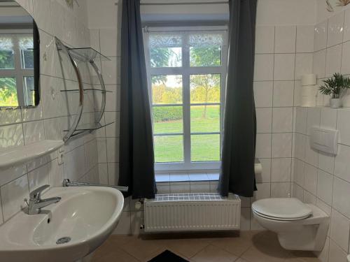 a bathroom with a sink and a toilet and a window at Landhaus Baumhöfer in Apen
