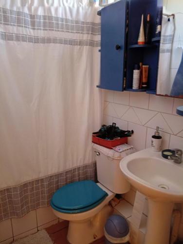 a bathroom with a blue toilet and a sink at EXPONOR 2026 Casa 3D 2B in Antofagasta