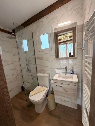 a bathroom with a toilet and a sink and a shower at Villa Elena ΝΕΑΠΟΛΗ ΒΟΙΩΝ in Áyioi Apóstoloi