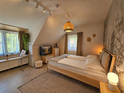 a bedroom with a large bed and a tv at Vila Salt & Soul in Sovata