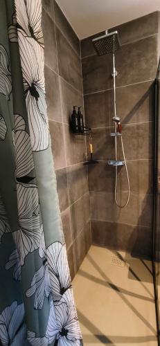 a bathroom with a shower with a shower curtain at Gîte des Bartavelles in Saint-Didier
