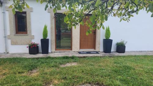 a front door of a house with potted plants at Casa soengas in Monterroso