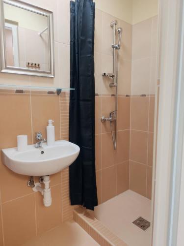 a bathroom with a sink and a shower at Erkel apartman in Harkány