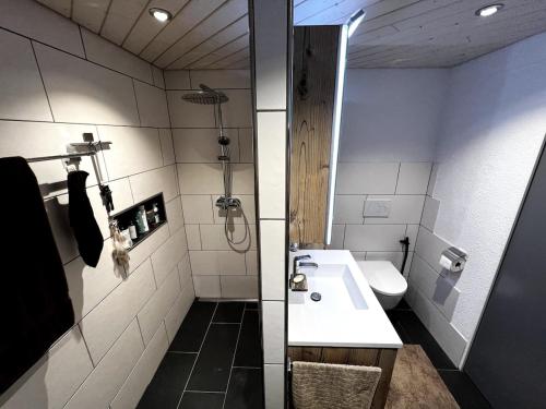 a bathroom with a toilet and a sink and a shower at Modern apartment with garden in Lostorf