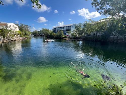 a river with people swimming in the water at FULL TIME LIC MGR - MODERN OCEANFRONT CONDO! BEAUTIFUL OCEAN VIEWS! BEACH RESORT! 2 KING BEDs! in Key Largo