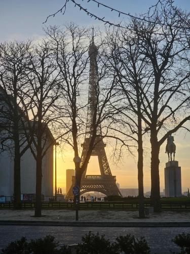 Parisian Lifestyle