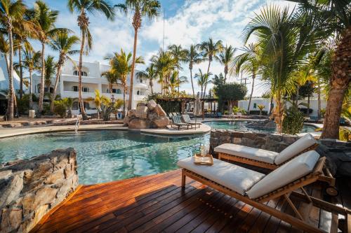 a pool at a resort with palm trees at Hotel & Suites El Moro in La Paz
