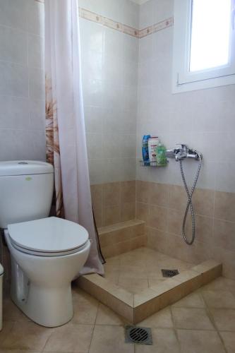 a bathroom with a toilet and a shower at Beach Residence Walk to Beach Garden - Parking in Chalkida