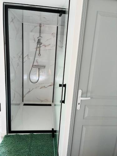 a glass shower in a bathroom with a green carpet at Le Ptit Refuge d'Ay in Ay