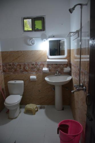 a bathroom with a sink and a toilet and a tv at Pine Hills, Naran in Naran
