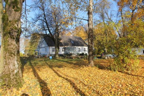 セイニにあるDwór Łumbieの木々が目の前に広い白い家
