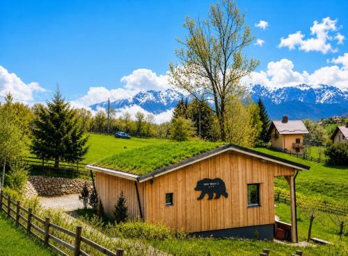 a building with a bear painted on the side of it at Casa WEZLY 2 in Măgura