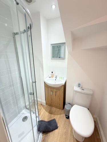 a bathroom with a shower and a toilet and a sink at Parliament in Gloucester