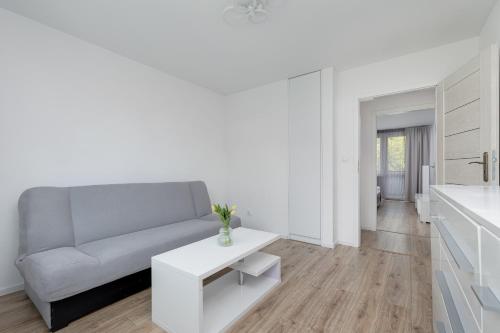 Szczecin Comfort Apartment by BookingHost