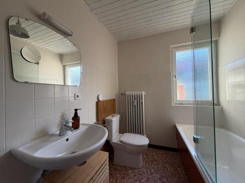 ein Badezimmer mit Waschbecken, Toilette und Spiegel in der Unterkunft Murmelruh in Mittenwald